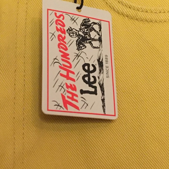 Lee x The Hundreds Work Carpenter Pants 32 x 32 (See Measurements) - Picture 5 of 6